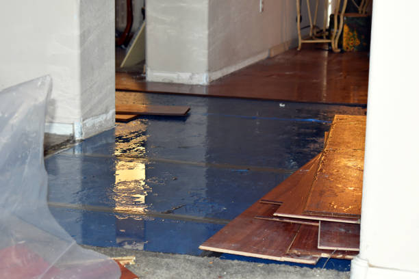 Professional Water Damage Restoration technician working in Waterloo, IN